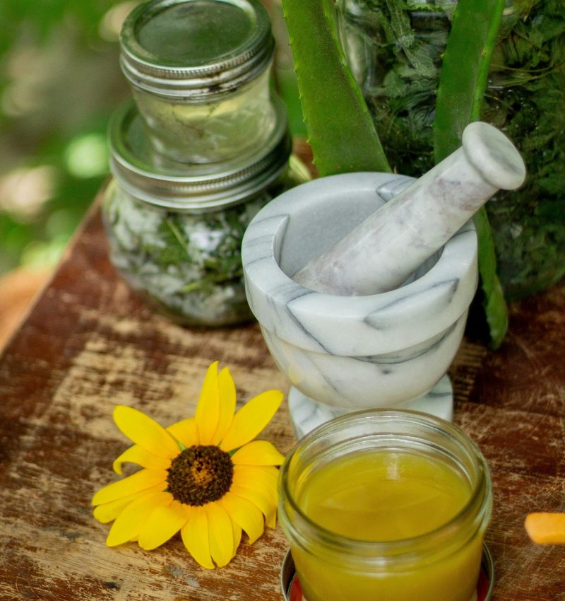 Herbs & Salves in Jars with Aloe Vera & Flowers